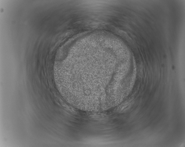 X0000068281105200605191846