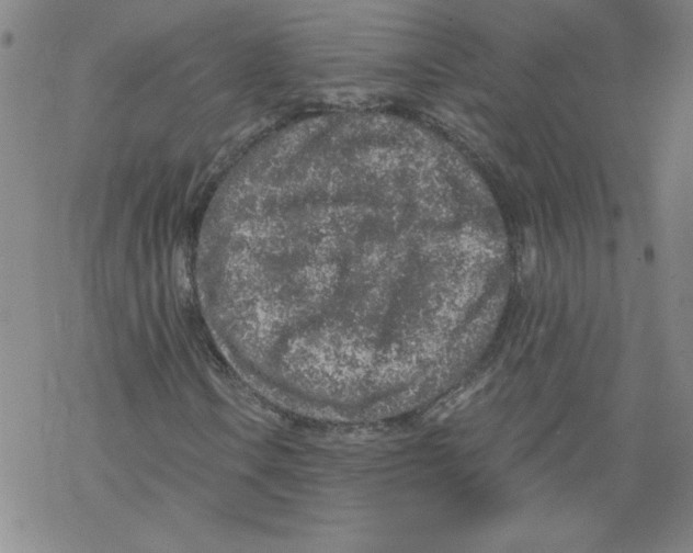 X0000068281106200605191846