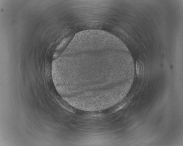 X0000068281107200605191846