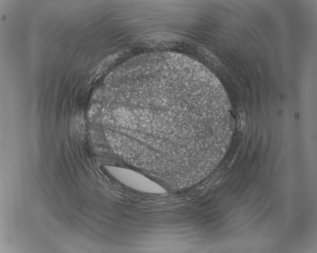 X0000068281108200605191846