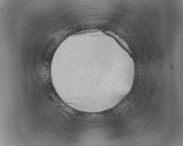 X0000068281109200605191846