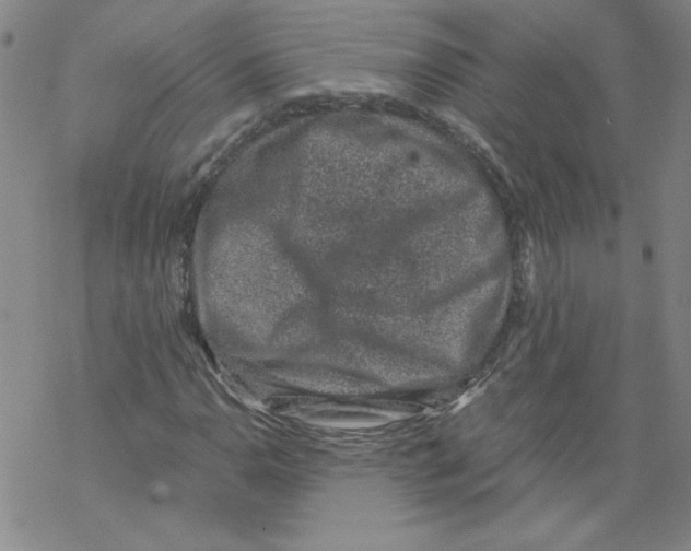 X0000068281110200605191846