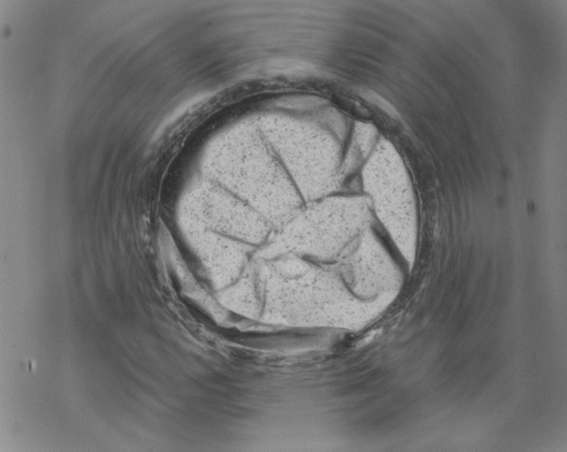 X0000068281112200605191846