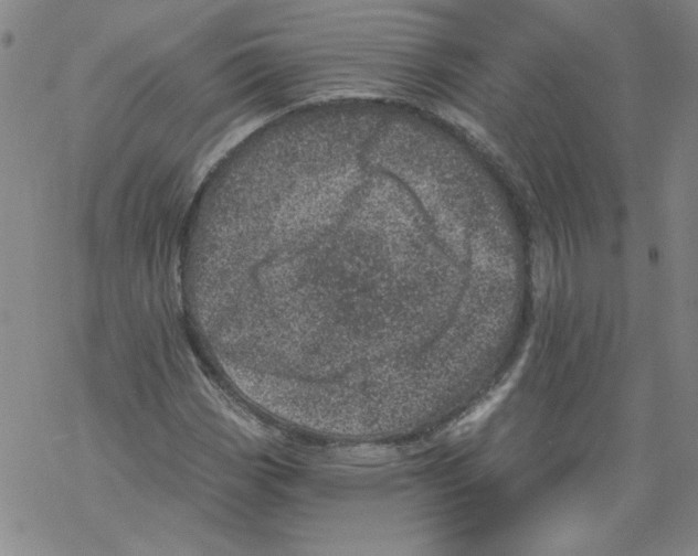 X0000068281113200605191846