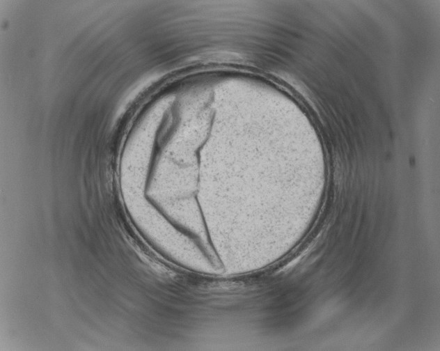 X0000068281115200605191846