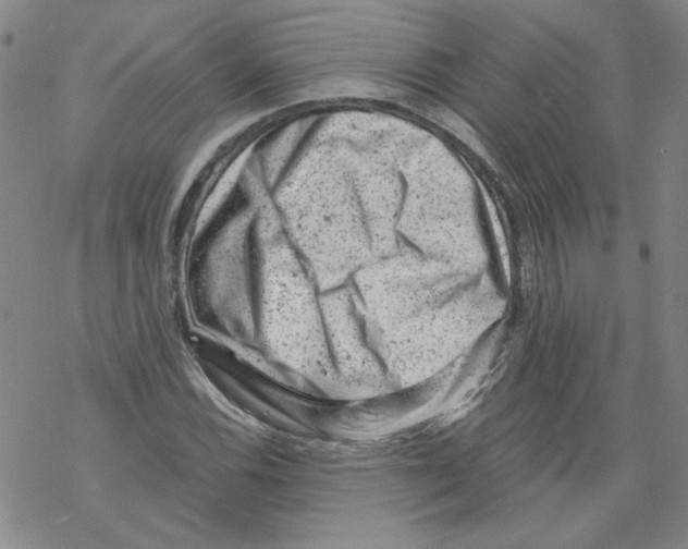 X0000068281116200605191846