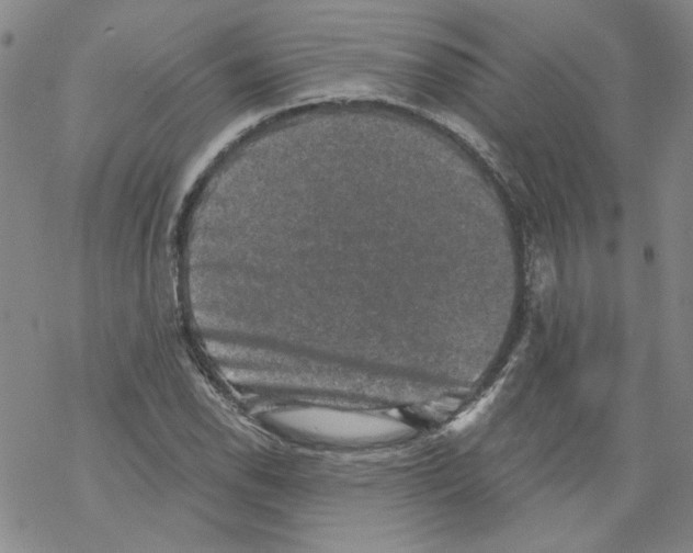 X0000068281118200605191846