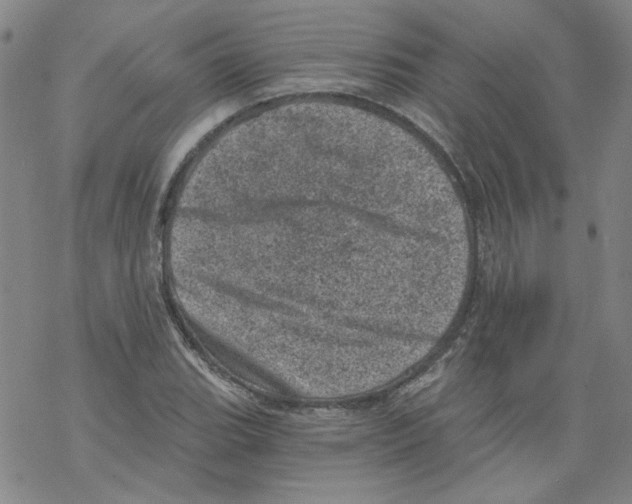 X0000068281119200605191846