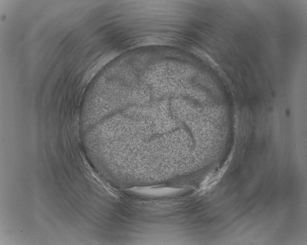 X0000068281121200605191846