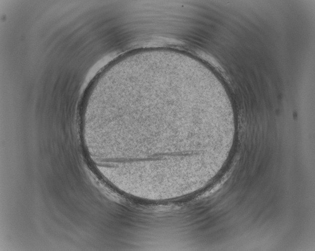 X0000068281122200605191846