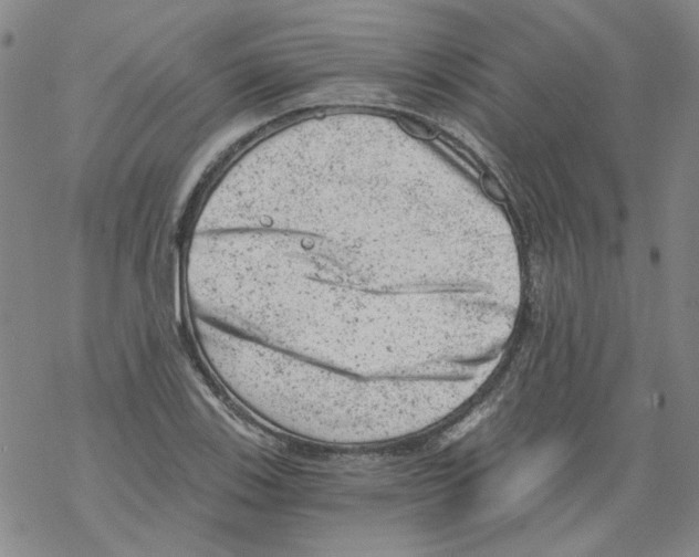 X0000068281123200605191846