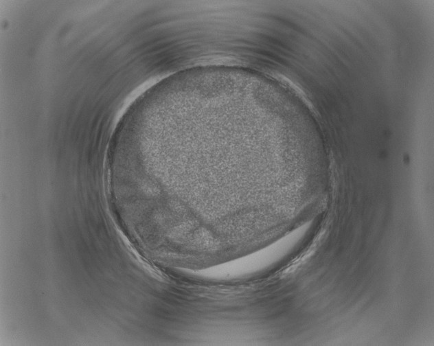 X0000068281125200605191846