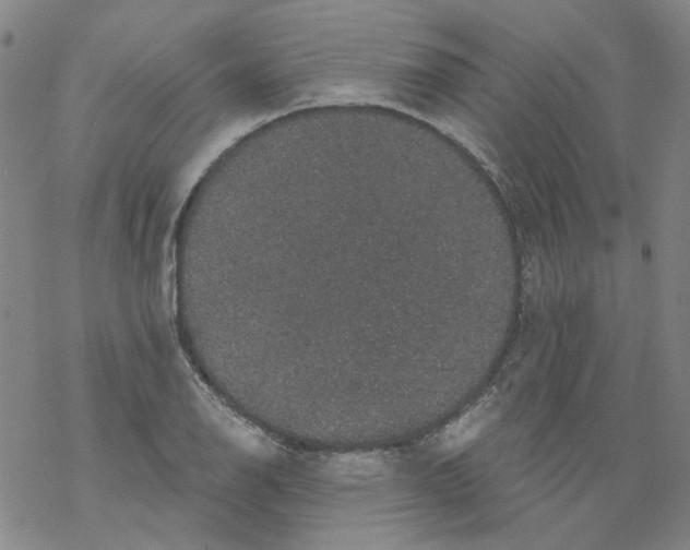 X0000068281126200605191846