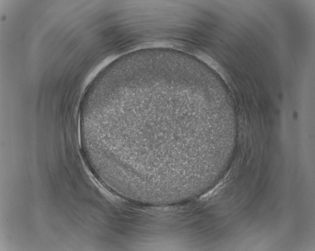 X0000068281127200605191847