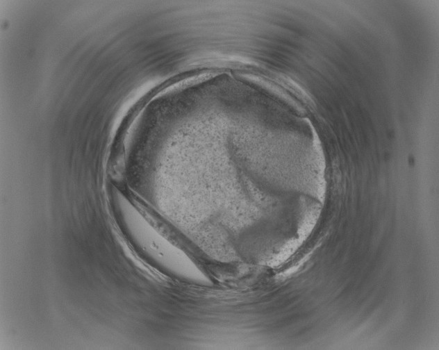 X0000068281128200605191847