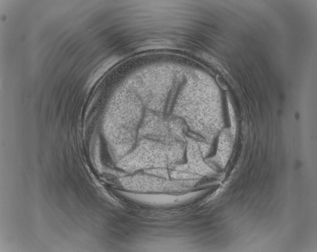 X0000068281129200605191847