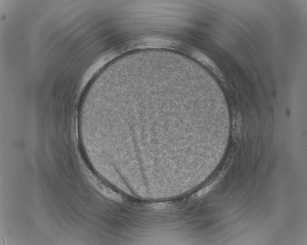 X0000068281130200605191847