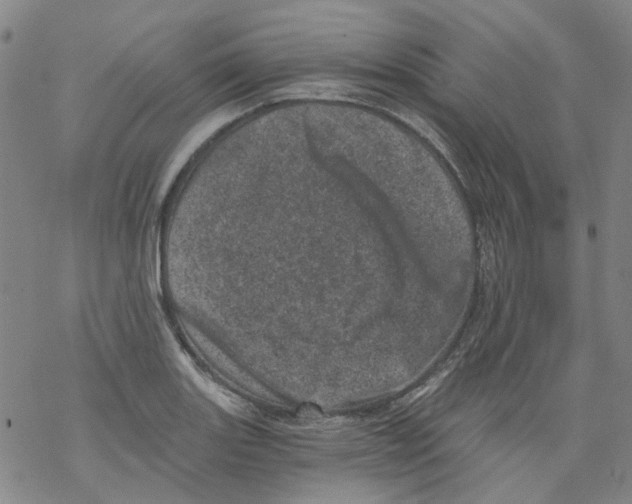 X0000068281131200605191847