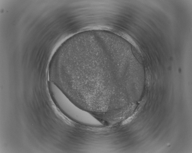 X0000068281132200605191847