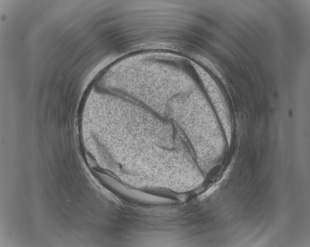 X0000068281133200605191847