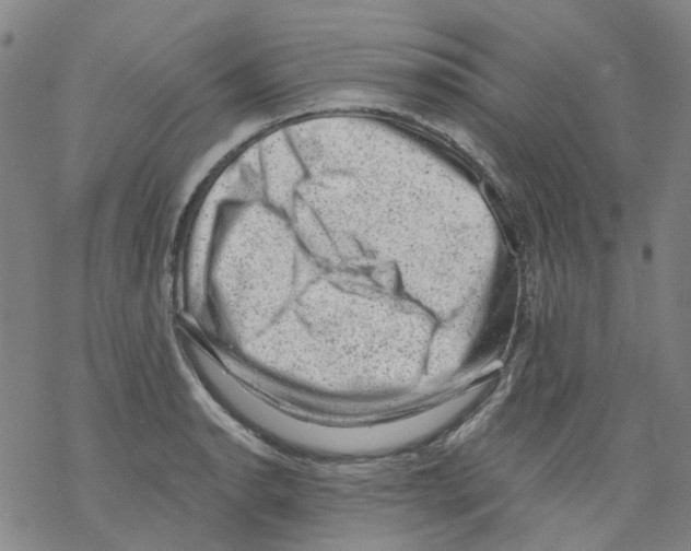 X0000068281134200605191847