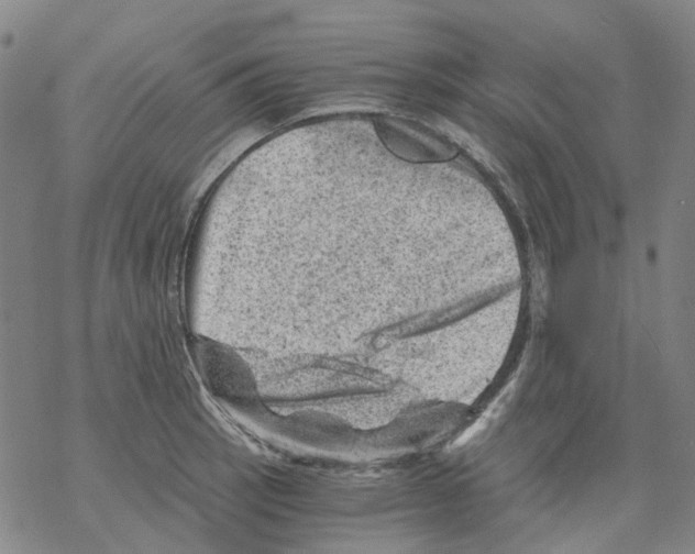 X0000068281137200605191847