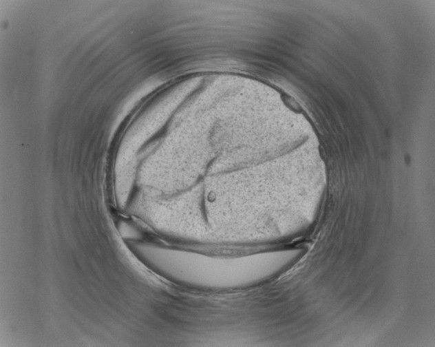 X0000068281139200605191847