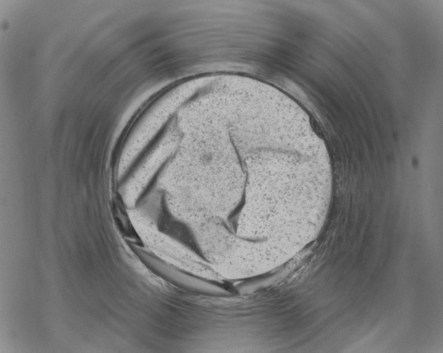 X0000068281140200605191847