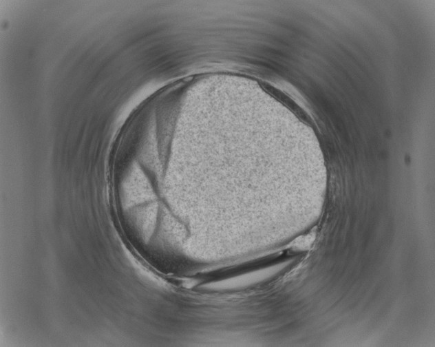 X0000068281143200605191847