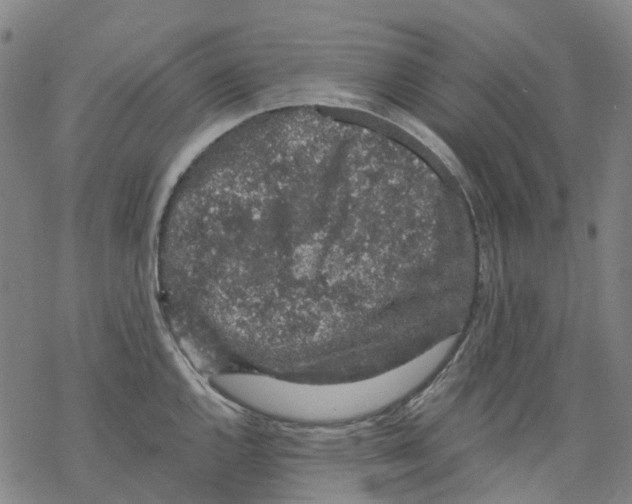 X0000068281144200605191847