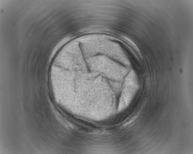 X0000068281146200605191847