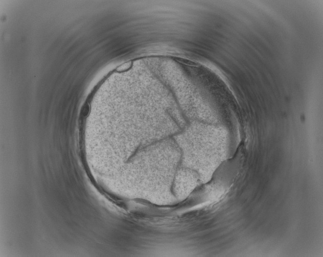 X0000068281147200605191847