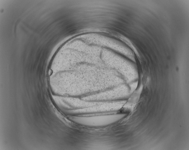 X0000068281148200605191847