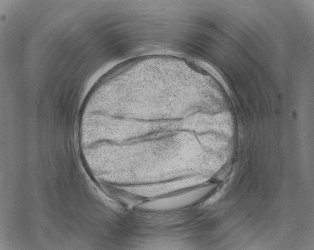 X0000068281149200605191847