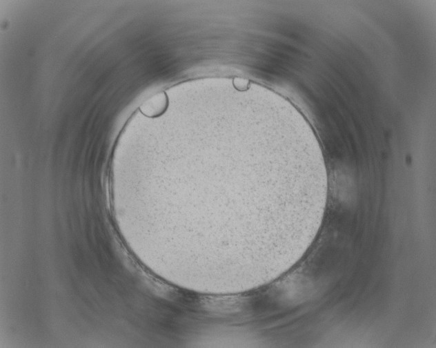 X0000068281150200605191847