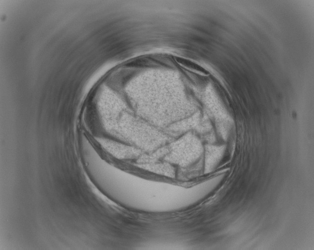 X0000068281151200605191847