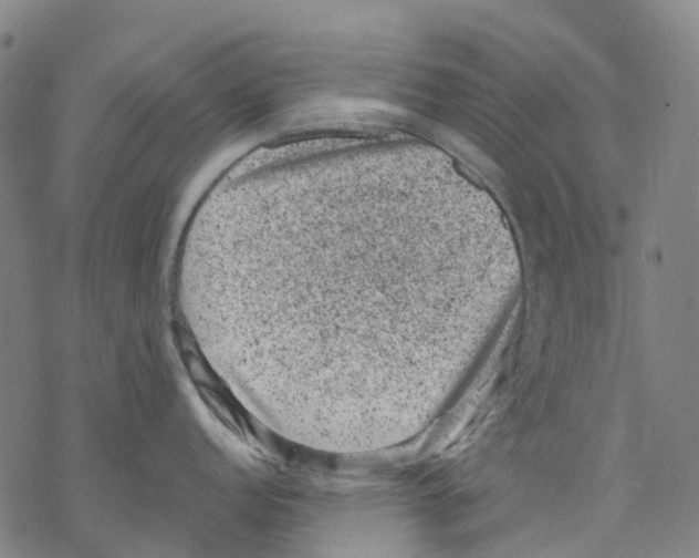 X0000068281152200605191847