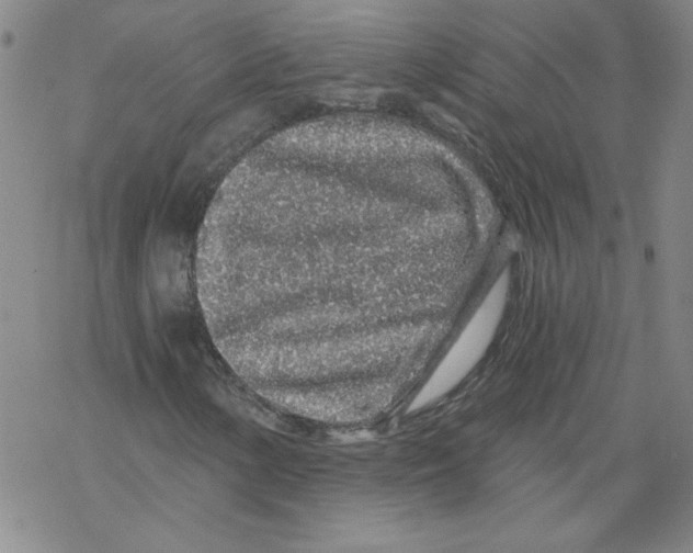 X0000068281154200605191846