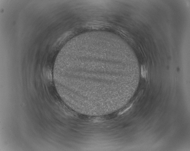 X0000068281155200605191846