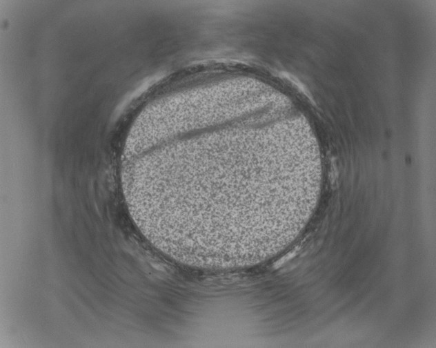 X0000068281159200605191846