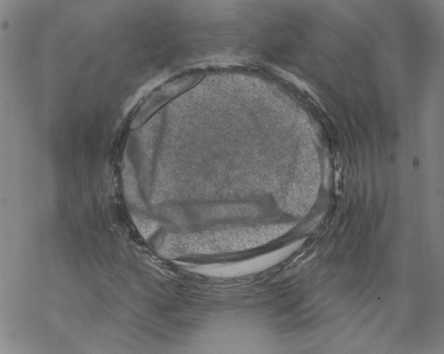 X0000068281160200605191846