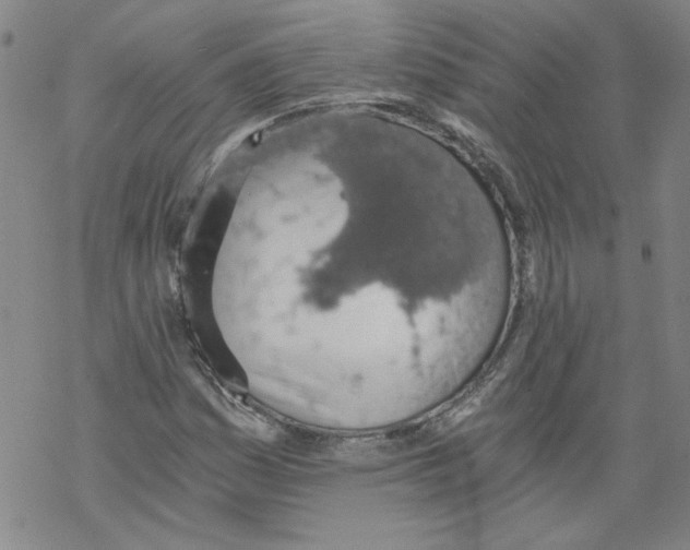 X0000068281161200605191846