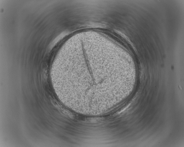 X0000068281163200605191846