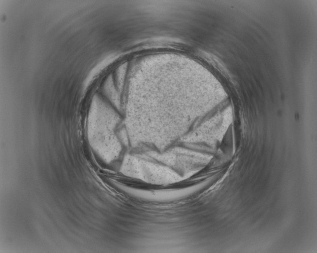 X0000068281164200605191846