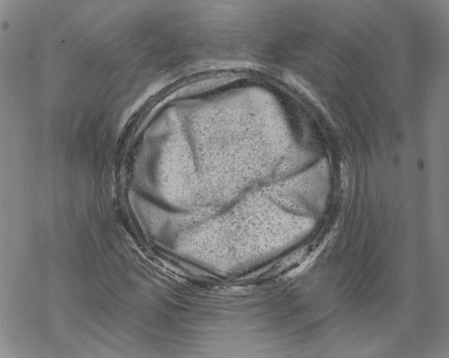 X0000068281165200605191846