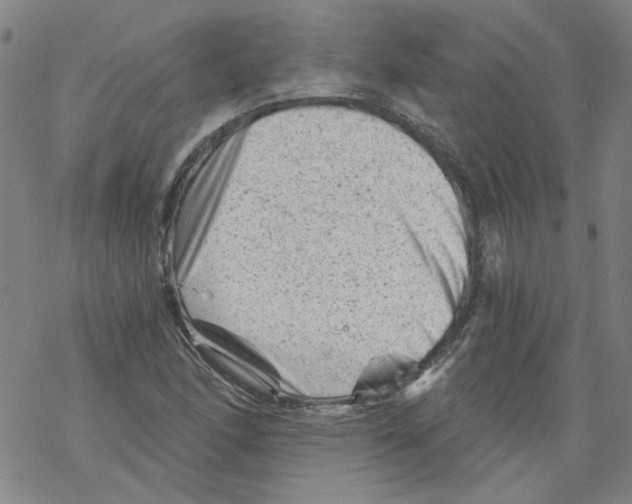 X0000068281166200605191846