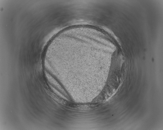 X0000068281167200605191846