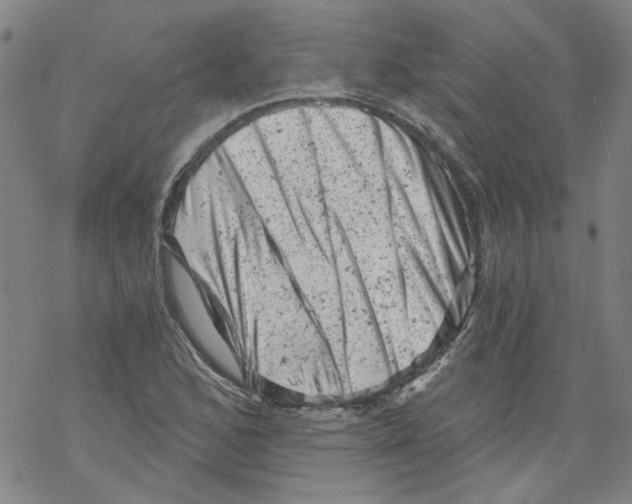 X0000068281168200605191846