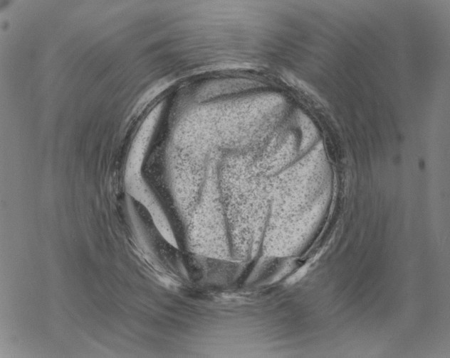 X0000068281169200605191846