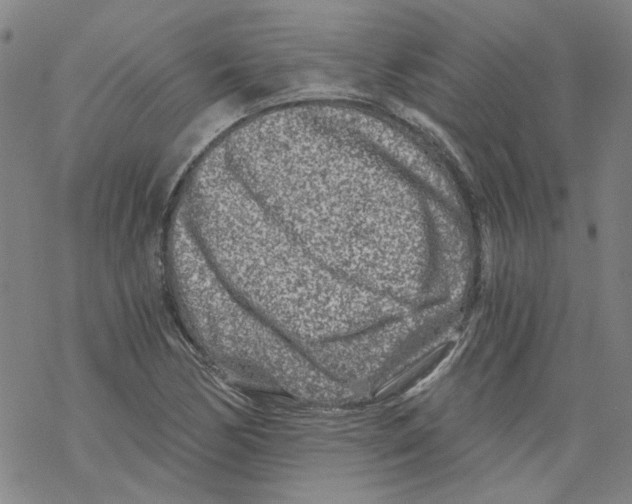 X0000068281170200605191846